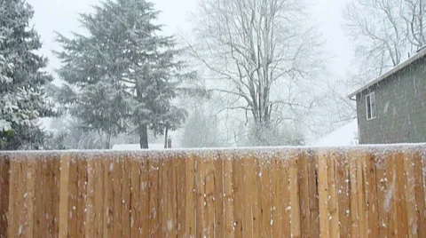 Beautiful Winter Snowfall Stock Footage 7533599