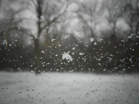 Beautiful Winter Snowflakes Stock Photos
