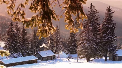 Beautiful winter snowing scene Stock Footage 47379981