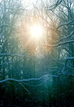 Beautiful winter sunset Stock Photos