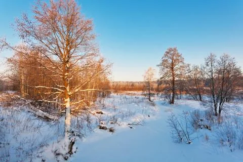 Beautiful winter sunset Stock Photos