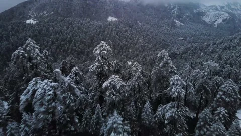 Beautiful Winter Trees covered with Snow on Mountains with huge lake Stock Footage 152731618