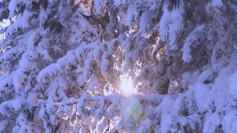 Beautiful winter view. Stock Footage 169780829