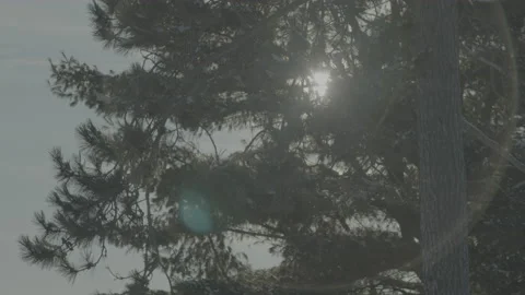 Beautiful winter views in Canada Video stock 170277323