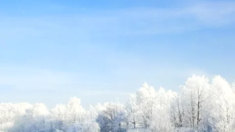 Beautiful winter white trees with falling snow. Loop. Stock Footage 261989269