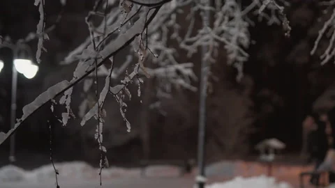 Beautiful Winter.Tree branches covered with snow.Winter night in the Forest 스톡 동영상 166797028