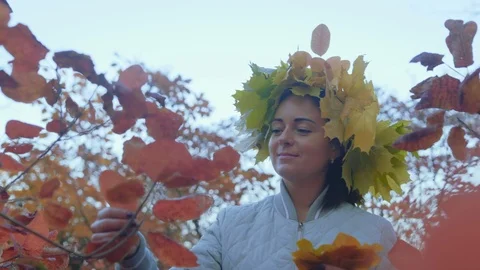 Beautiful Woman Breaks Off The Bush Red Autumn Leaves Stock Footage 123497553