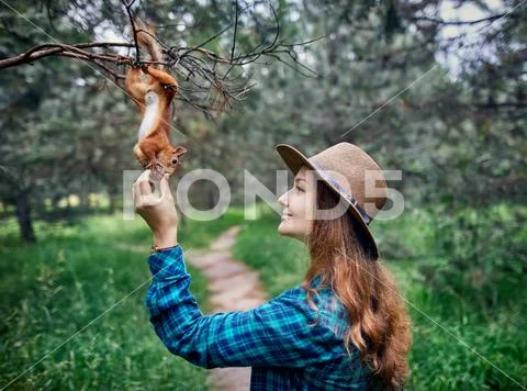 Beautiful woman feeding squirrel in forest Stock Photos