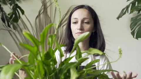 Beautiful woman gardener posing with green plant while standing at house room Stock Footage