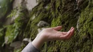 Beautiful Woman In Nature Touches Water Stock Footage
