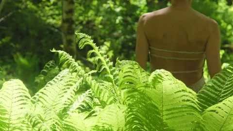 Beautiful woman walking in the fern forest Stock Footage