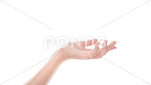 Beautiful woman's hand, palm up isolated on white background Stock Photos