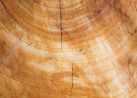 A beautiful wood pattern backdrop that can be used for a variety of purposes. Stock Photos