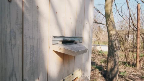 A Beautiful Wooden Structure Featuring a Mail Slot Nestled in a Charming Natural Stock Footage 308533054
