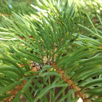 The beautiful world of nature Stock Photos