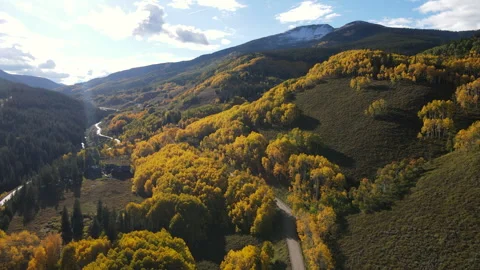 Beautiful yellow aspen forest in fall foliage at Crested Butte, Colorado, USA 스톡 동영상 314765161