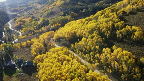 Beautiful yellow aspen forest in fall foliage at Crested Butte, Colorado, USA 스톡 동영상 314765348