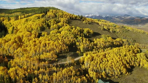 Beautiful yellow aspen forest in fall foliage at Crested Butte, Colorado, USA 스톡 동영상 314766670