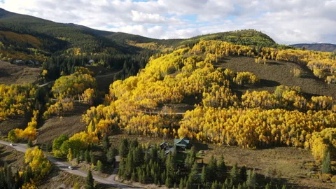 Beautiful yellow aspen forest in fall foliage at Crested Butte, Colorado, USA Stock-Footage 314766688
