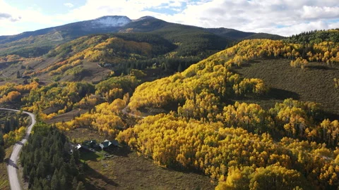 Beautiful yellow aspen forest in fall foliage at Crested Butte, Colorado, USA Stock-Footage 314766700