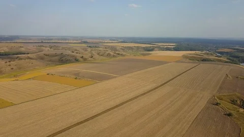 Beautiful yellow fields. Aerial view. Stock Footage 117422741