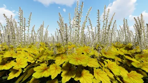 Beautiful Yellow Flower Stock Footage 338121204
