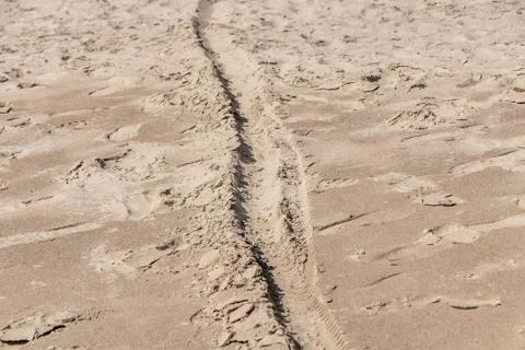 Beautiful yellow sandy beach with traces and footprints is by turquoise sea w Foto stock