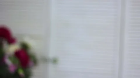 Beautiful Young bride Stock Footage 61687849