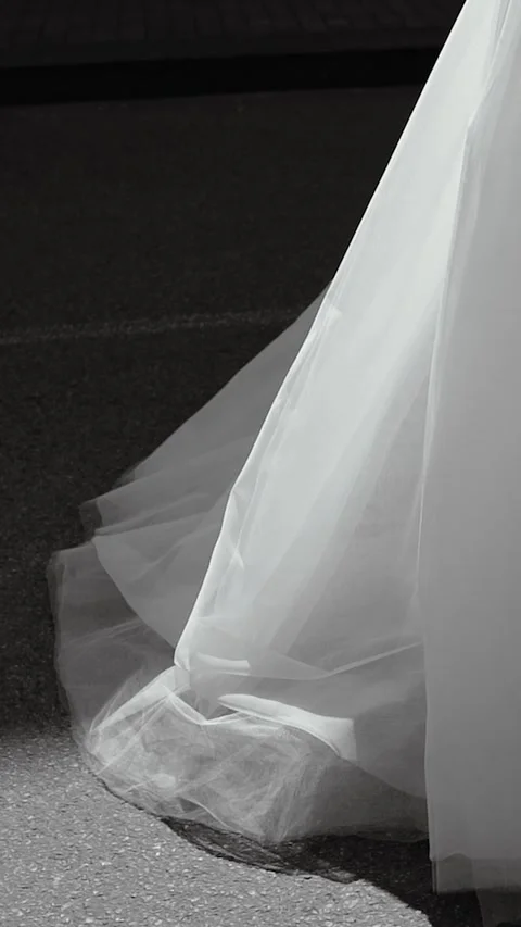 A beautiful young bride in a wedding white dress Stock Footage 337109049