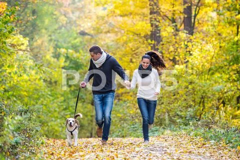 Beautiful young couple with dog running in autumn forest Stock Photos