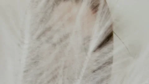 Beautiful young girl posing with feather fan in her hands 库存影片 337741775