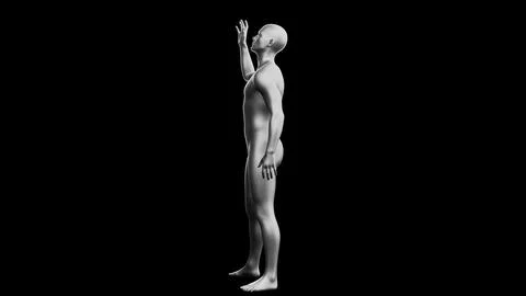 Beautiful young man posing, isolated on black background. 3d illustration (.. Stock Illustration