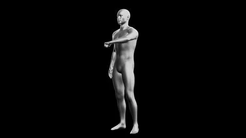 Beautiful young man posing, isolated on black background. 3d illustration (.. Stock Illustration