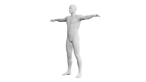 Beautiful young man posing, isolated on white background. 3d illustration (.. Stock Illustration