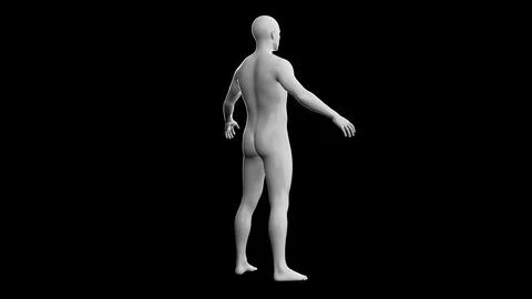 Beautiful young man posing, isolated on black background. 3d illustration (.. Stock Illustration
