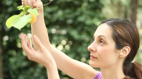 Beautiful young woman and apricot Stock Footage