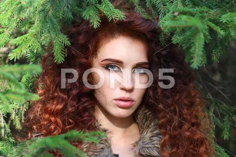 Beautiful young woman poses among fir branches in forest, shallow dof Stock Photos