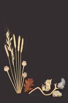 Beautiful Zen Natural Objects of Nature Design Stock Photos