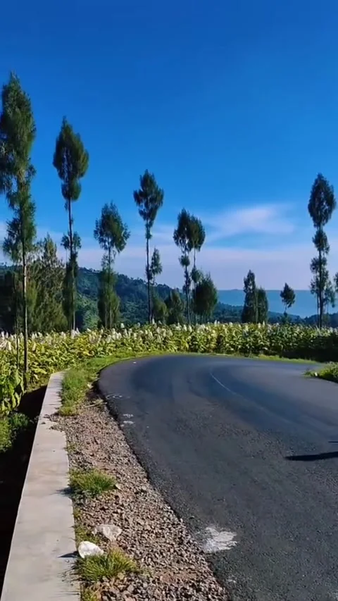 Beautifull Indonesia panorama Stock Footage 235293853