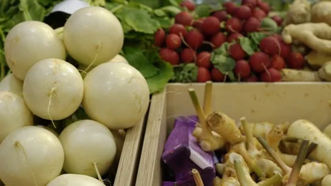 Beautifull raddish selection Stock Footage 85715267