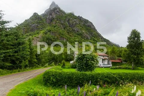 Beautifull scandinavian landscape with meadows, mountains and village. Lofote Stock Photos