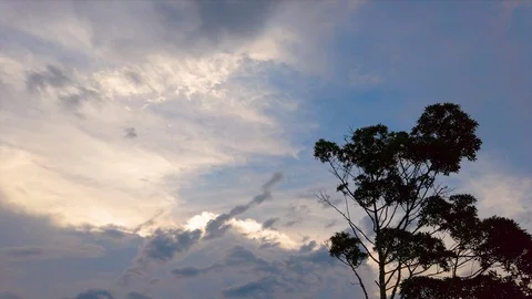 Beautifull Sky With Three Stock Footage 121550052