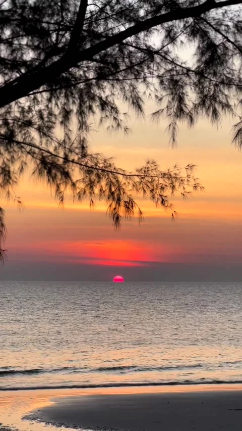 Beautifull sunset Stock Footage 236077280