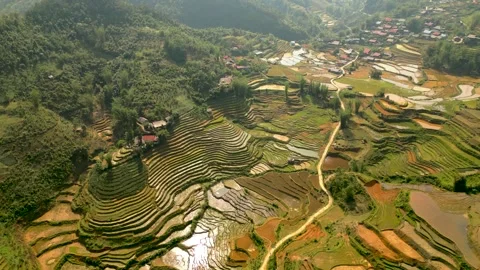 Beautifull terraced rice fields in a valley in SaPa on a sunny day Video stock 314841925