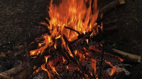 A beautifully burning fire in the evening Stock Footage 306154125