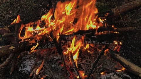 A beautifully burning fire in the evening Stock Footage 306154142