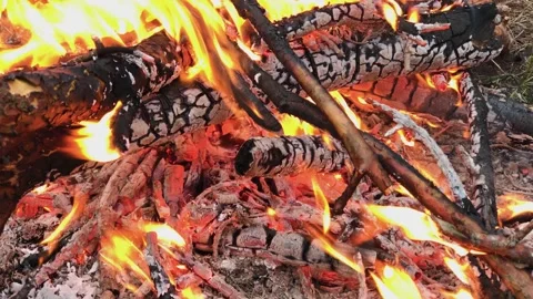 A beautifully burning fire in the evening Stock Footage 306154150