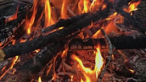 A beautifully burning fire in the evening Stock Footage 306154155