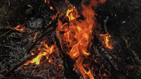A beautifully burning fire in the evening Stock Footage 306154178