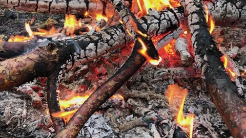 A beautifully burning fire in the evening Stock Footage 306154221
